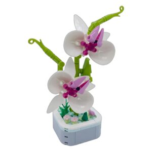 building blocks flowers – phalaenopsis